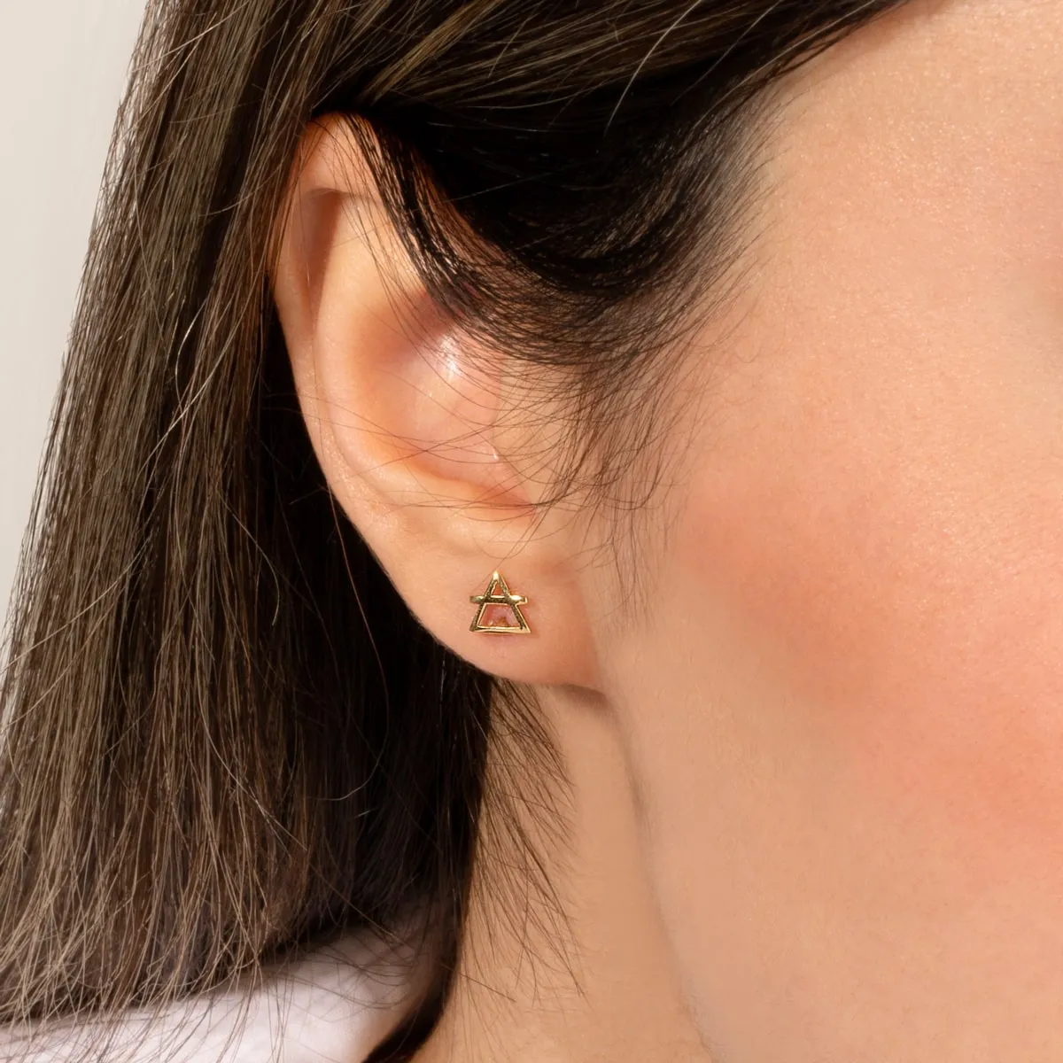 Earth Element Sign Earrings