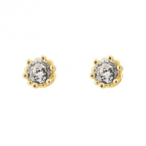 Gold Plated Zirconia Stud Earrings E6272C
