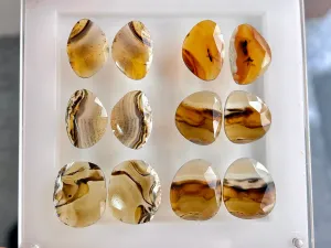 Natural Montana Agate Gemstone rose cut cabs Pair